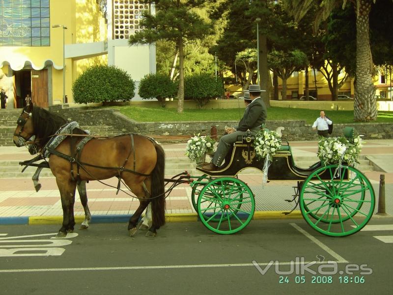 TODO PARA MI BODA  