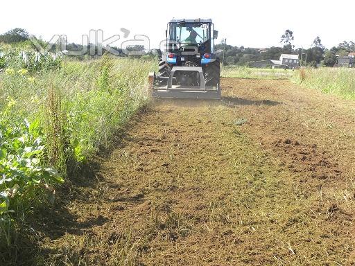 Trituradora agrícola de frutales