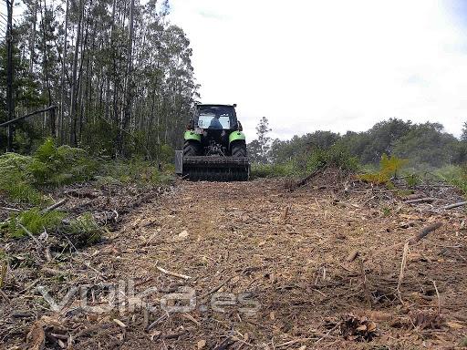 Trituradora forestal para poda TMC Cancela