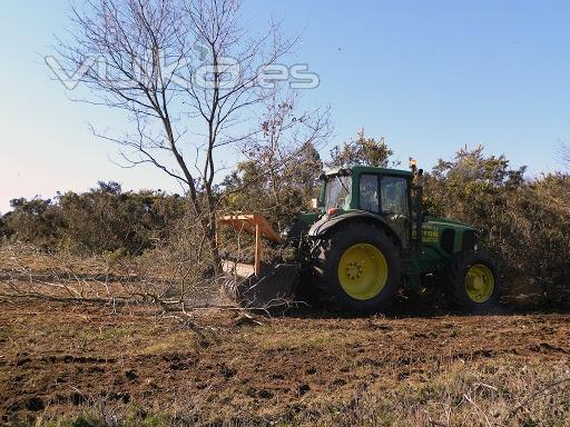 Trituradora forestal de tocones