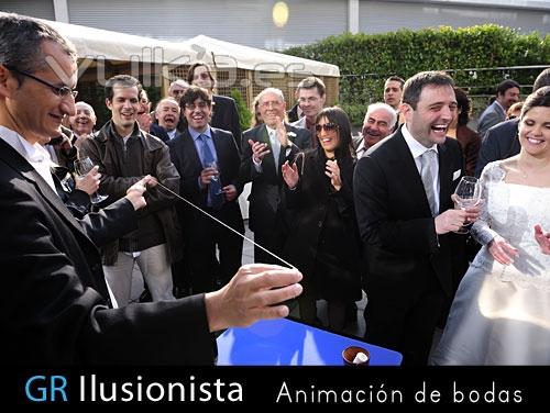 Animacin de bodas