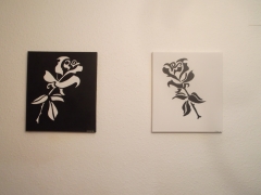 Rosas blanca y negra