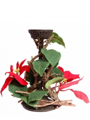 Flor de pascua artificial candelabro de hierro con poinsettia artificial oasisdecorcom
