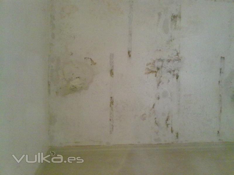 Vivienda semi sotano con salitre por humedad en el Arenal