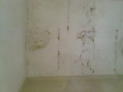 Vivienda semi sotano con salitre por humedad en el arenal