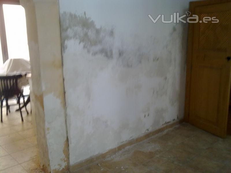 Vivienda con humedad y salitre en Binissalen 