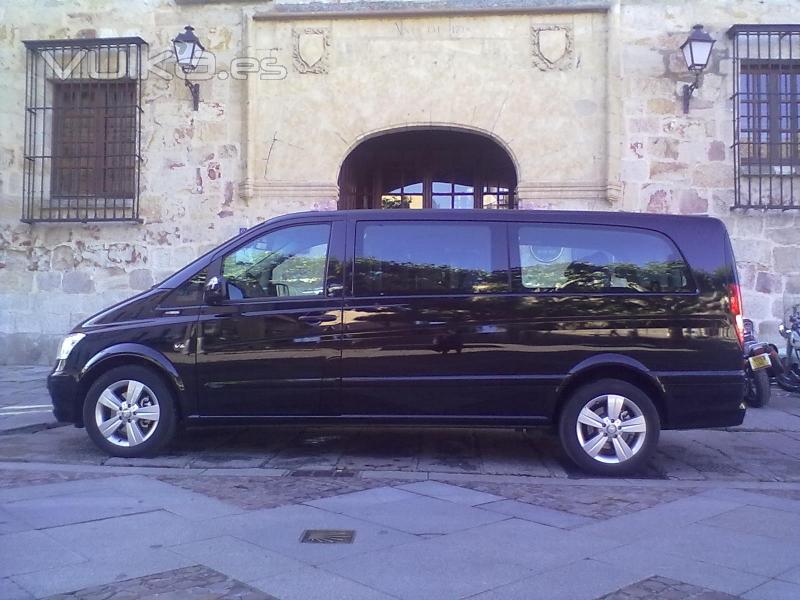 Mercedes Viano 