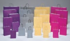 Bolsas de papel de asas retorcidas colores