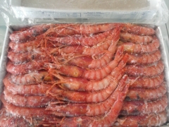 Gamba Roja
