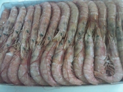 Gambón
