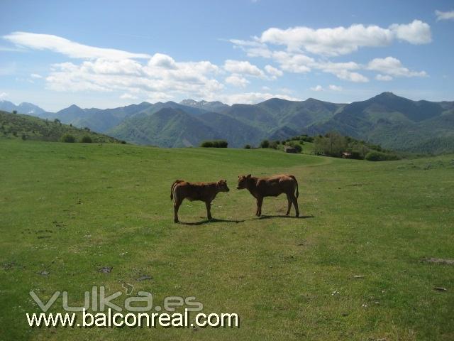 Casa Rural Balcn Real Senda del Oso