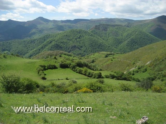 Casa Rural Balcn Real Senda del Oso