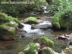 Foto 2 hoteles en Asturias - Casa Rural Balcn Real Senda del oso