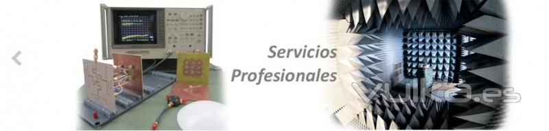 Servicios profesionales: Diseo, fabricacin, consultora, e I+D+i entre otros.