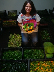 Nuestros Productos, Chile Serrano, Habanero, Jalapeño, Poblano, Tomate, Nopal, Jícama