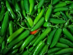 Chile Serrano