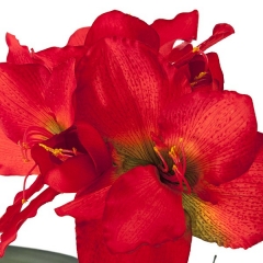 Planta flores amaryllis artificial roja maceta redonda en la llimona (1)