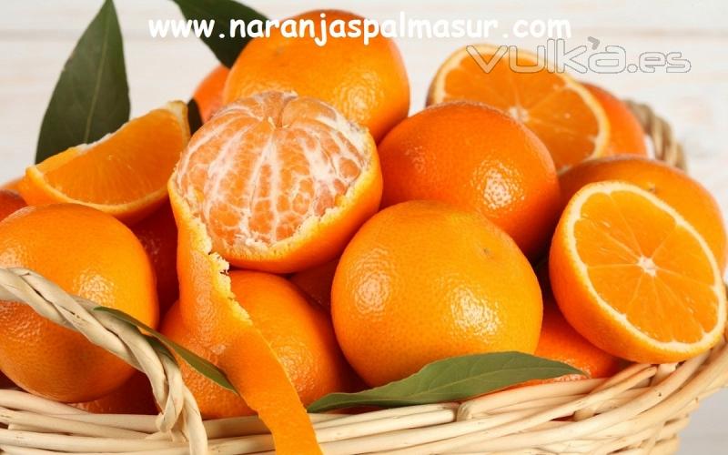 Naranjas Navelinas frescas y saludables