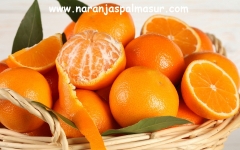 Naranjas navelinas frescas y saludables