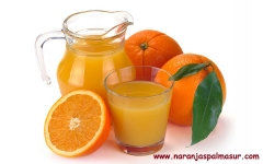 Naranjas salustiana para zumo