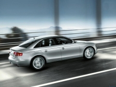 Roig car rental & transfer - foto 22