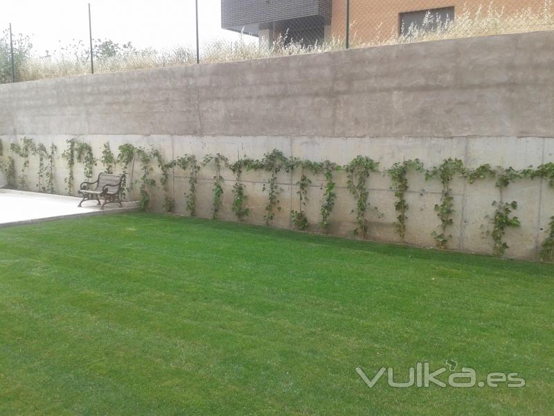 Proyecto y ejecucin de obra de jardinera en Villamantilla