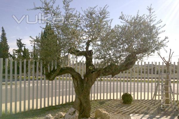 Jardineros en el Papiol, Jardineria el Papiol