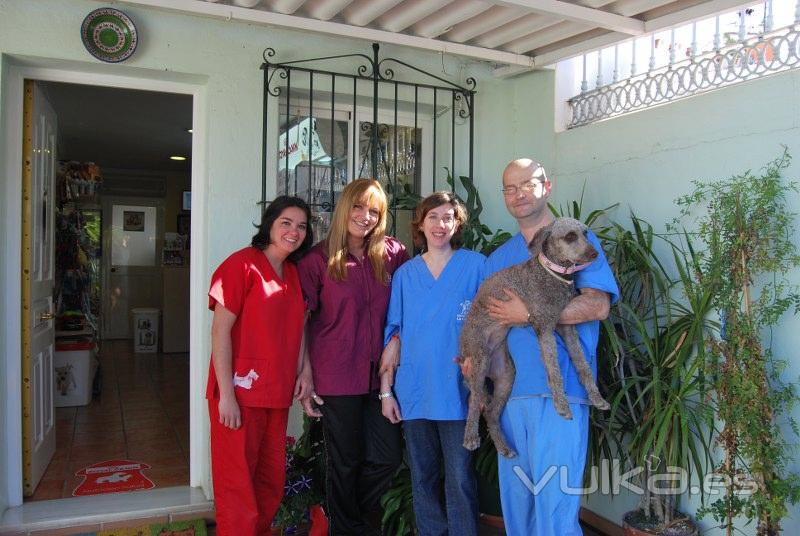 El equipo veterinario siempre dispuesto a cuidar de sus mascotas!