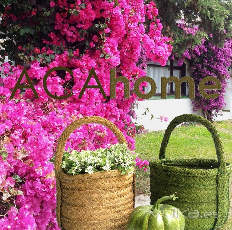 www.ACAhome.com