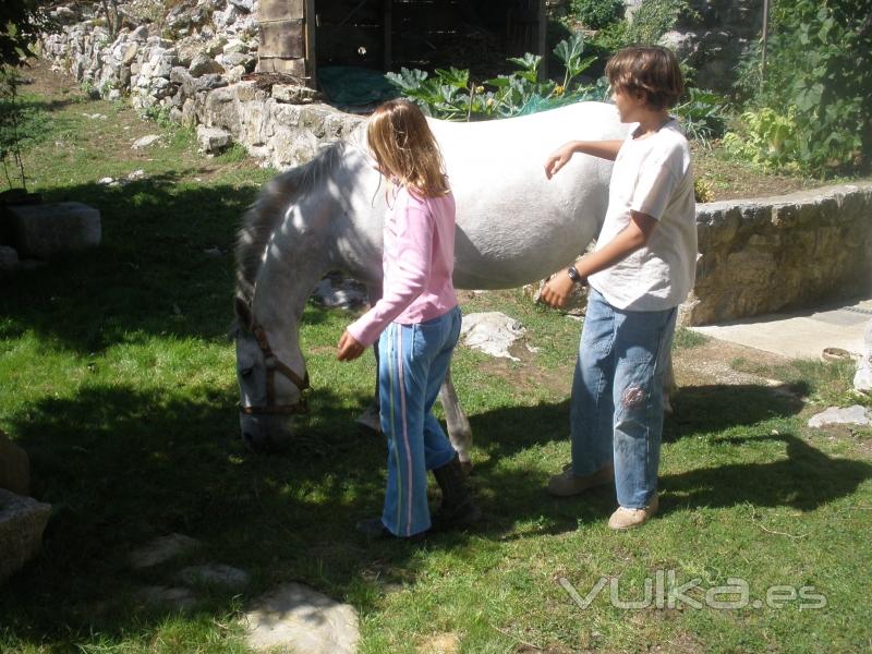 Acariciando a Txasbi