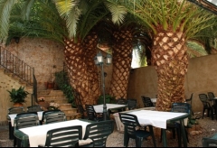 Foto 62 restaurantes en Tarragona - Quim i Quima