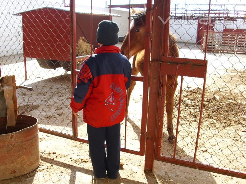 Paraje Los Palos | Despedidas de Soltero | Capeas | Bodas | Fiestas infantiles | Ejea | Zaragoza