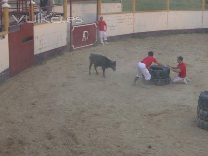 Paraje Los Palos | Despedidas de Soltero | Capeas | Bodas | Fiestas infantiles | Ejea | Zaragoza