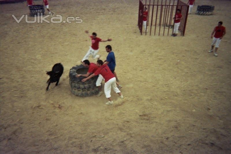 Paraje Los Palos | Despedidas de Soltero | Capeas | Bodas | Fiestas infantiles | Ejea | Zaragoza