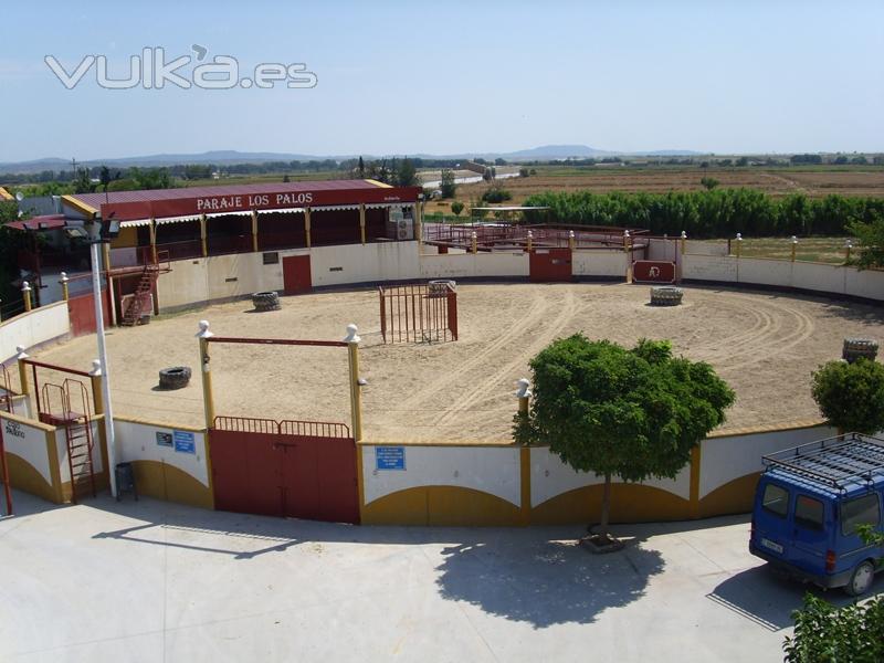 Paraje Los Palos | Despedidas de Soltero | Capeas | Bodas | Fiestas infantiles | Ejea | Zaragoza