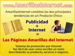 Publicidad + internet