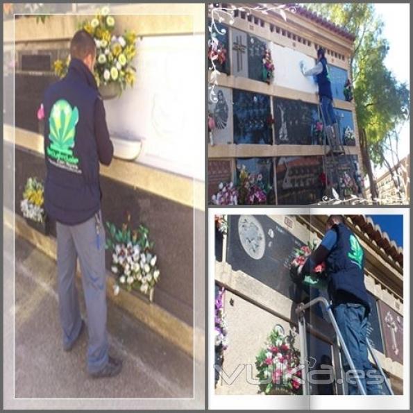 Realizando colocaciones y limpieza en el cementerio oficial de Valencia