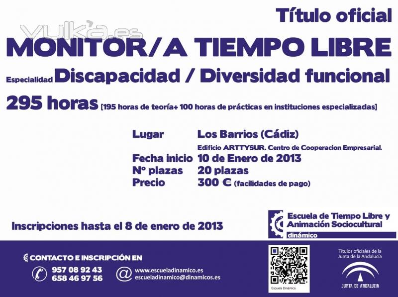 Curso de Monitor/a de Tiempo Libre, Discapacidad