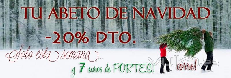 TU ABETO DE NAVIDAD CON UN -20% DESCUENTO: http://bit.ly/Vq5ggr