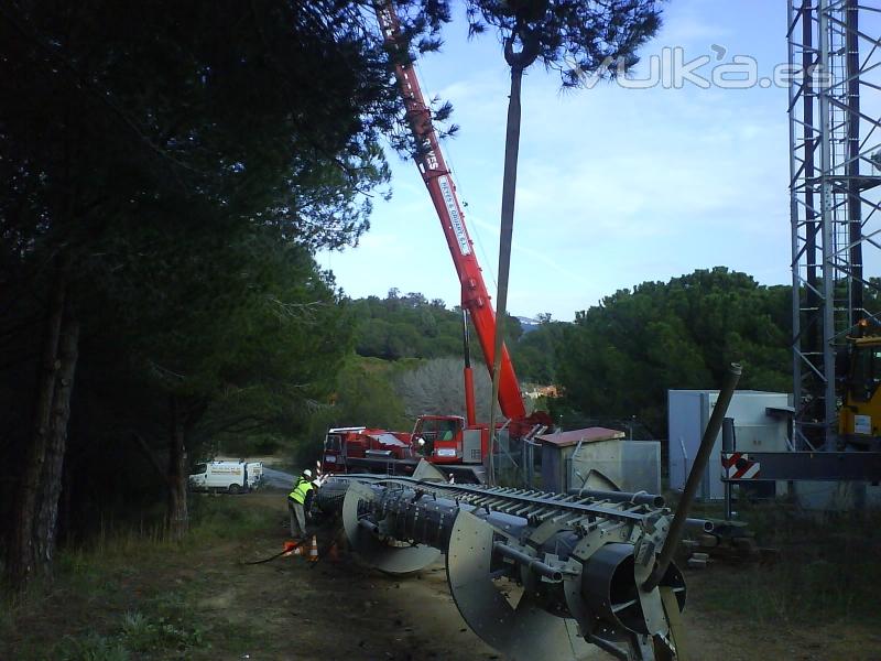 GRUAS REYES Y LORCA, S.L.