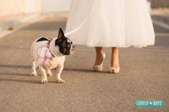 Lovely days | fotografia & diseno - foto 16