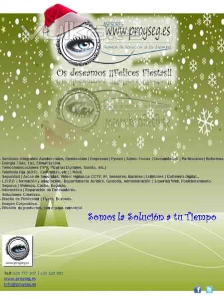 ProySeg Felices Fiestas 2012