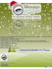 Proyseg felices fiestas 2012