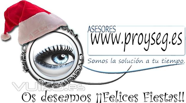 ProySeg Navidad 2012