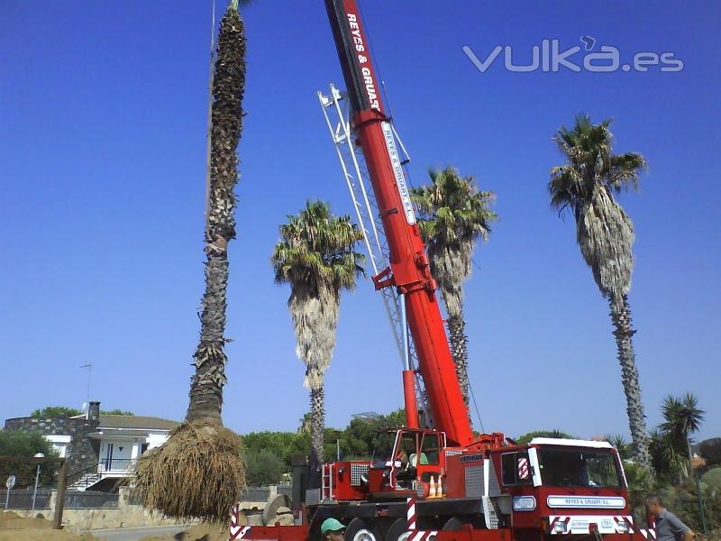 GRUAS REYES Y LORCA, S.L.