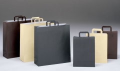 Bolsas de papel automaticas