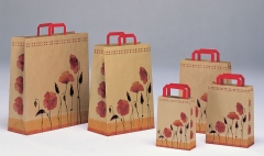 Bolsas de papel con diseno asas planas