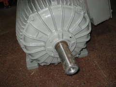 Motor siemens vista del eje