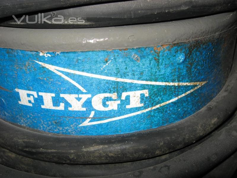 Logo de bombas Flygt.