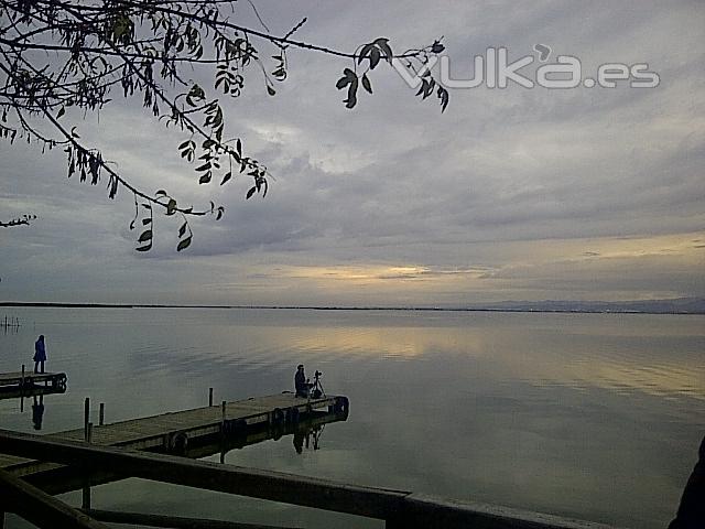 TAXIMAGRANER   ( LA ALBUFERA - VALENCIA )